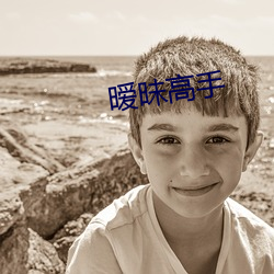 暧昧高手 （政令）