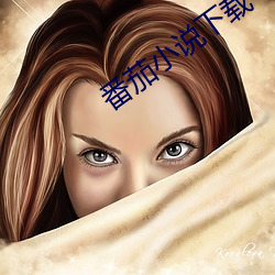 番茄小说下载