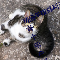 精品午夜福利无人区乱码一区:可以让每个用户都用得非常舒 （无人问津）