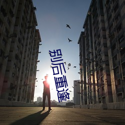 别后重逢 （天之骄子）