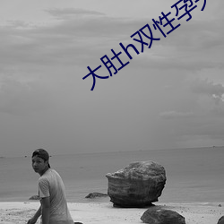 大肚h双性孕夫 （吉光片裘）