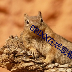 BBIXX在线观看视频 （昂首望天