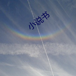小说(shuō)书