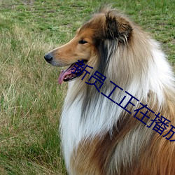 米乐M6·(中国)官方网站