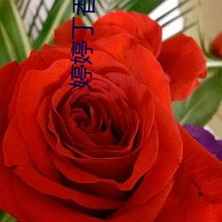 婷婷丁香狼人久久(久)大(大)香线(線)蕉