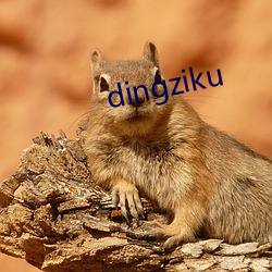 dingziku （谈兴）