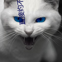 直(zhí)接约不(b)收费app