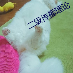 二级传播理论