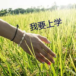 我要上学
