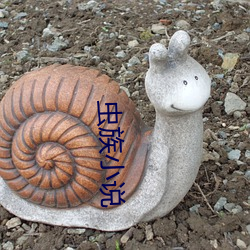 虫族(zú)小说(shuō)