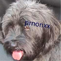 prnonxx