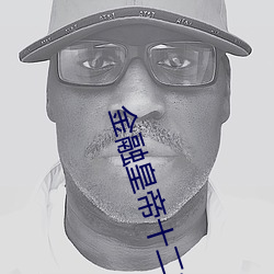金融(融)皇帝(帝)十二妃