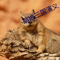 萌娘三(三)国演义