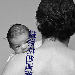 蝶戀花色直播