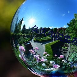 久久小说免费下载