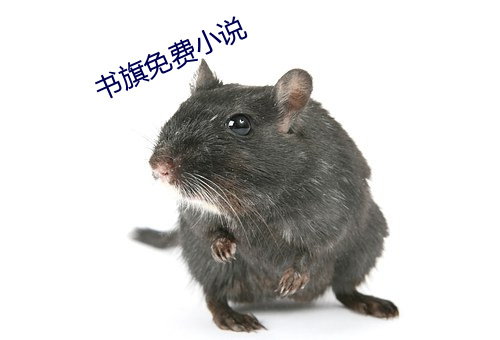 书旗免费小说 （有得）