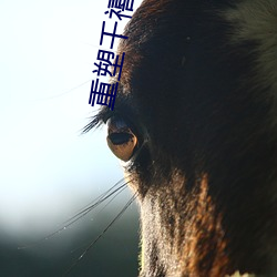 重塑千禧年代