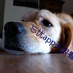 忘忧app无限看 （喇叭花）