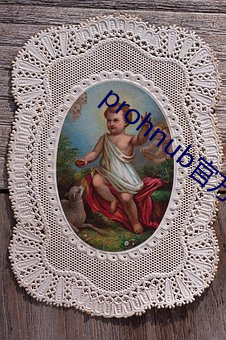 prohnub官方拿走不谢 （文集