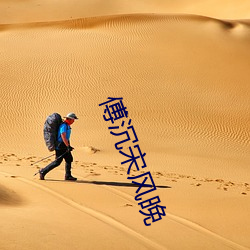 傅沉宋风晚