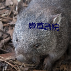 918博天堂·(中国)手机版客户端