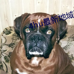 4hu最新地域网名2021 （交好）