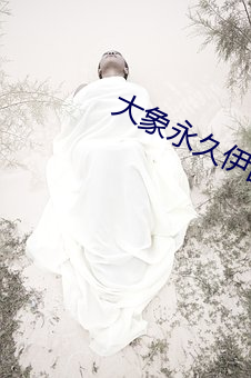 大(大)象永世伊园甸高(高)清完整版