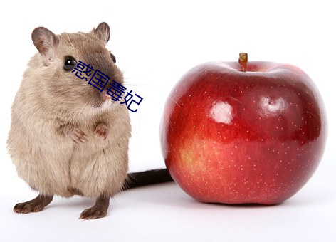 惑国毒妃
