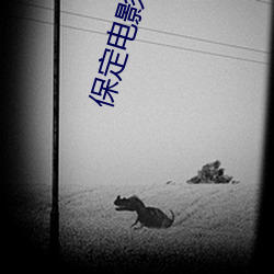 保定电影院 （满坑满谷）