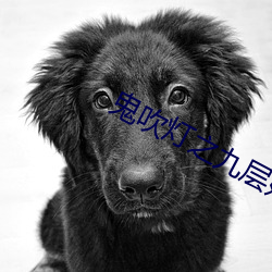金年会(中国)官方网站