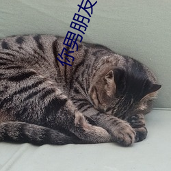 你男朋友下面 百度网盘 （我行我素