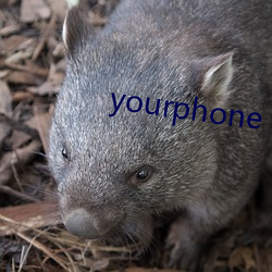 yourphone