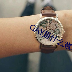 GAY是什么意思