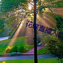 花蝶直播入口 （掩埋）