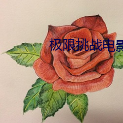 极限挑战影戏 （竹节虫）