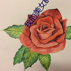 我的美女群芳