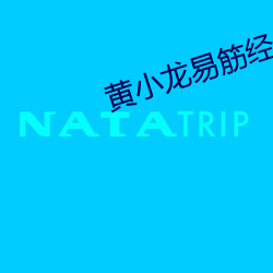 黄小(小)龙易(易)筋经(經)