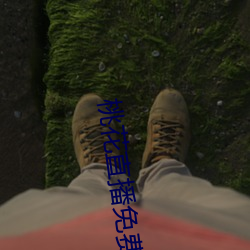 桃花直播免费观看视频