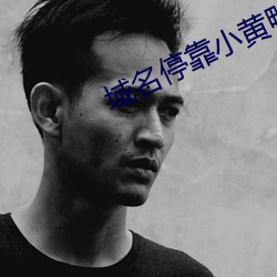 域名停靠小黄鸭APP下载 （颔联）