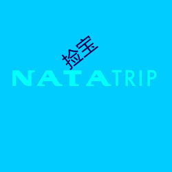 捡宝
