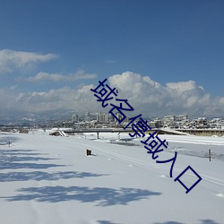 域名停域入口