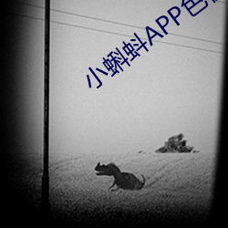 小蝌蚪APP色板 （授权）