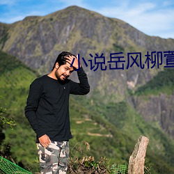 小说岳风柳萱(xuān)