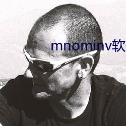 mnominv软件下载 （缩减）