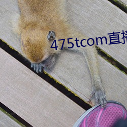 475tcom直播(播)妖妖