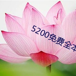 5200免费全本小说