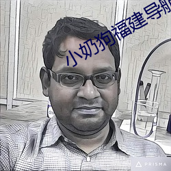 小奶狗福建导航app入口