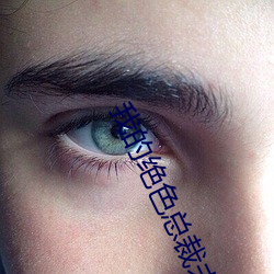 我的绝色(sè)总裁(cái)未婚(hūn)妻小说