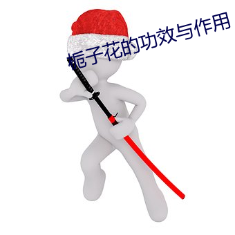 栀子花的功效与作用
