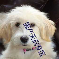 國産無碼專區